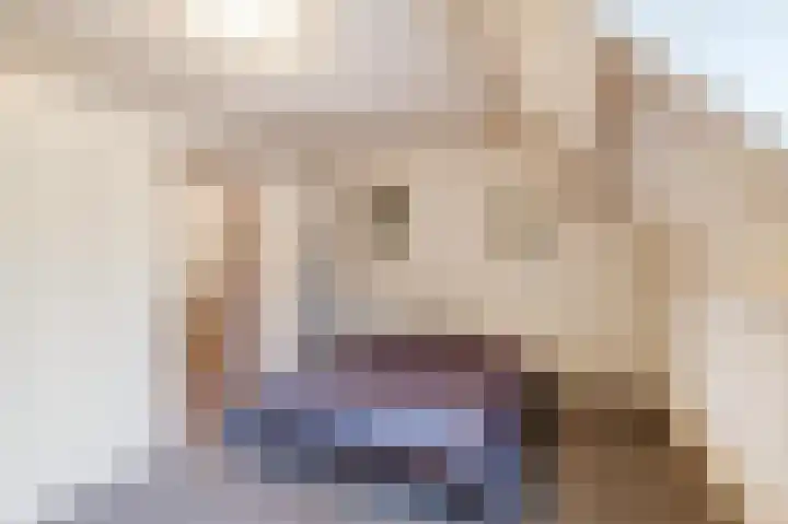 Bordewijklaan 71 Groningen thumbnail 14