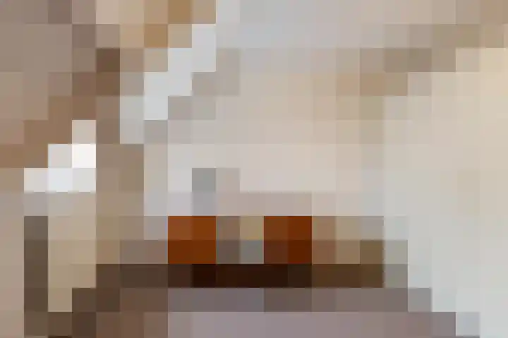 Bordewijklaan 71 Groningen thumbnail 15