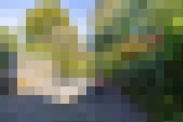Bordewijklaan 76 Groningen thumbnail 21