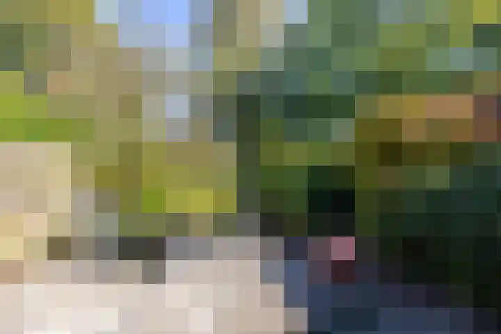 Bordewijklaan 76 Groningen thumbnail 22