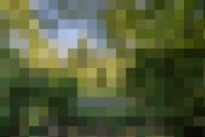 Bordewijklaan 76 Groningen thumbnail 24