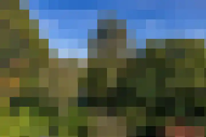 Bordewijklaan 76 Groningen thumbnail 51