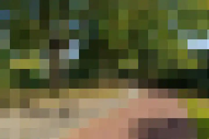 Bordewijklaan 76 Groningen thumbnail 56