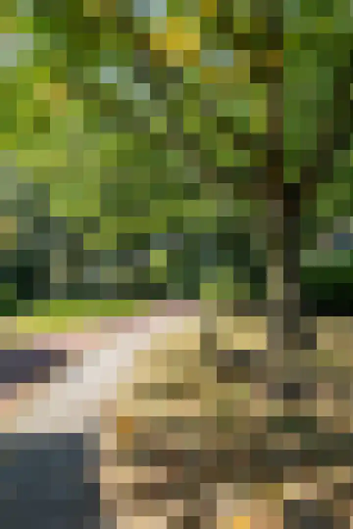 Bordewijklaan 76 Groningen thumbnail 57