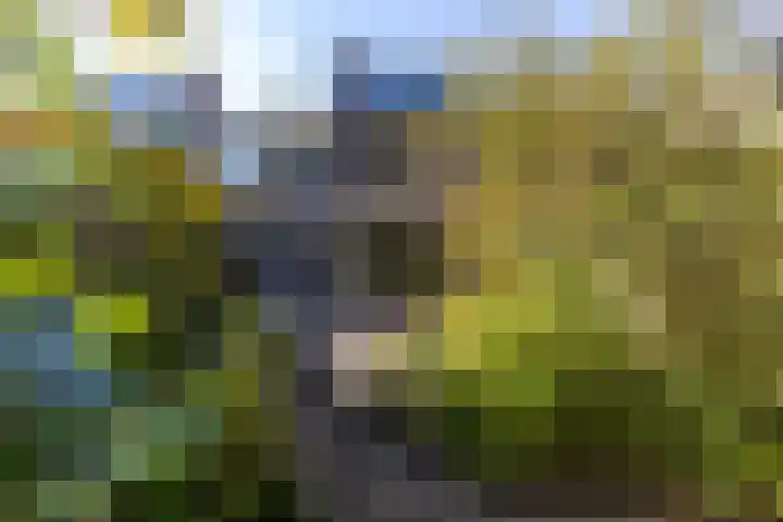 Bordewijklaan 76 Groningen thumbnail 69