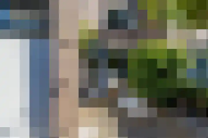 Bordewijklaan 76 Groningen thumbnail 7