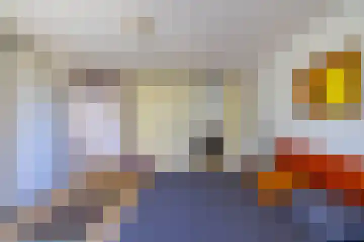 Bordewijklaan 76 Groningen thumbnail 70
