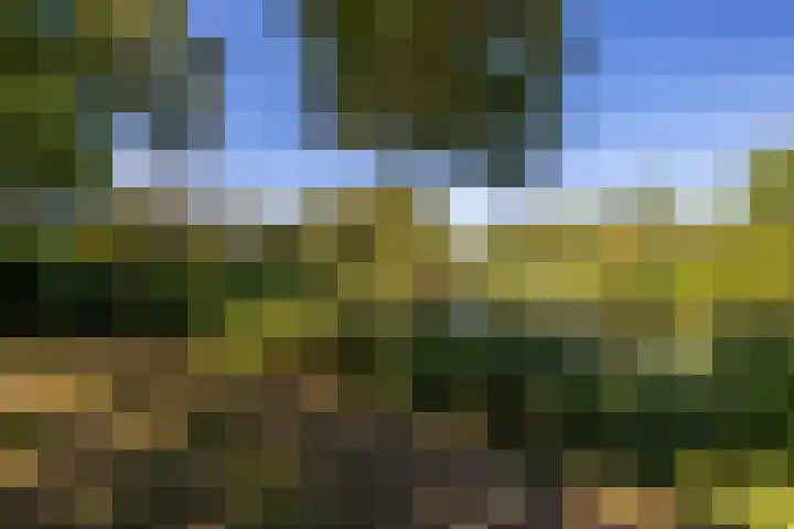 Bordewijklaan 76 Groningen thumbnail 75