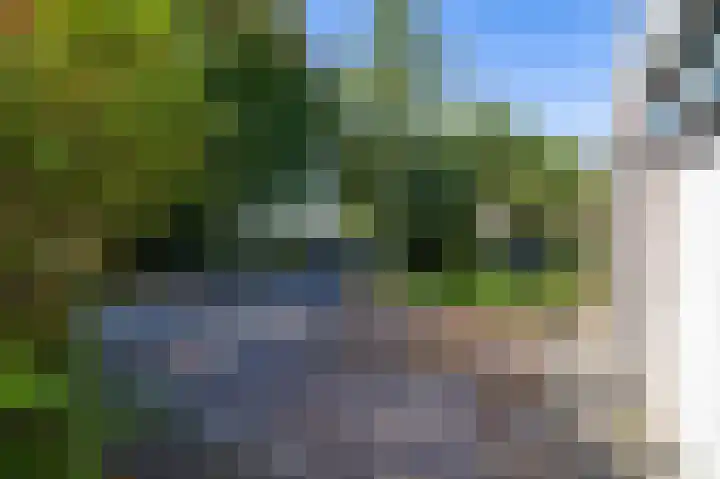 Bordewijklaan 76 Groningen thumbnail 8