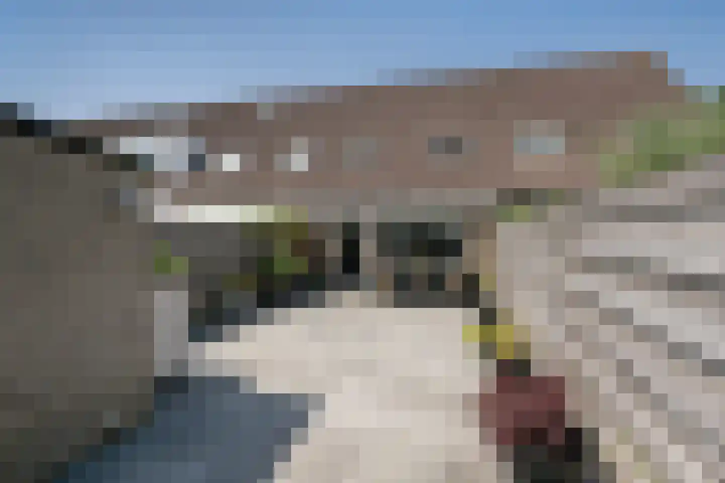 Bordewijkstraat 35 's-Gravenzande thumbnail 7