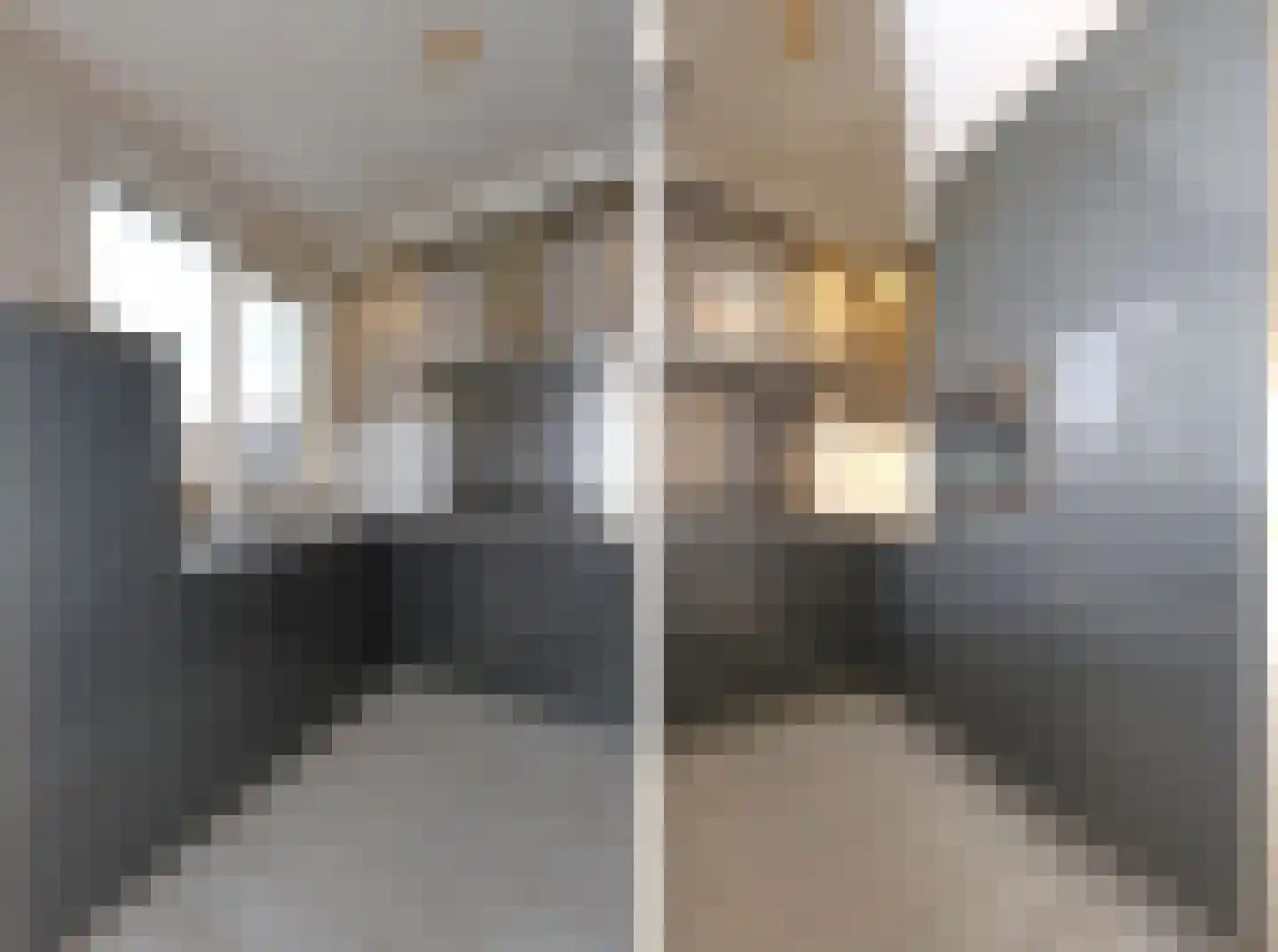 Bordine 10 Sneek thumbnail 16