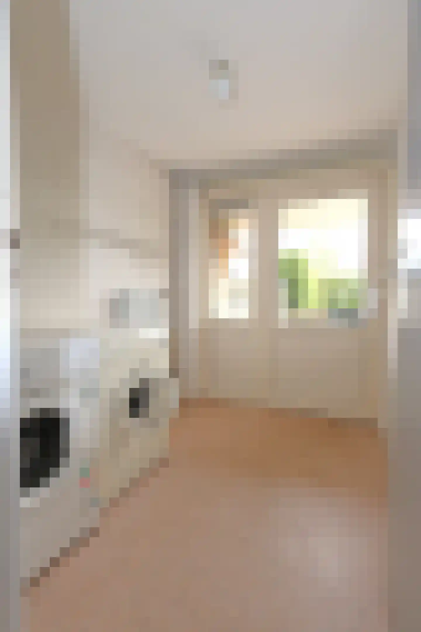 Bordine 10 Sneek thumbnail 27