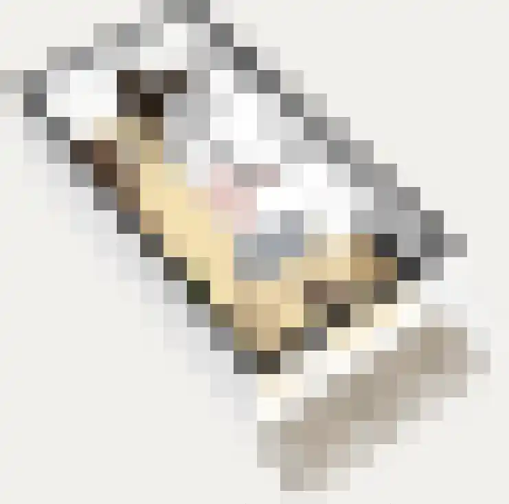 Bordine 10 Sneek thumbnail 33