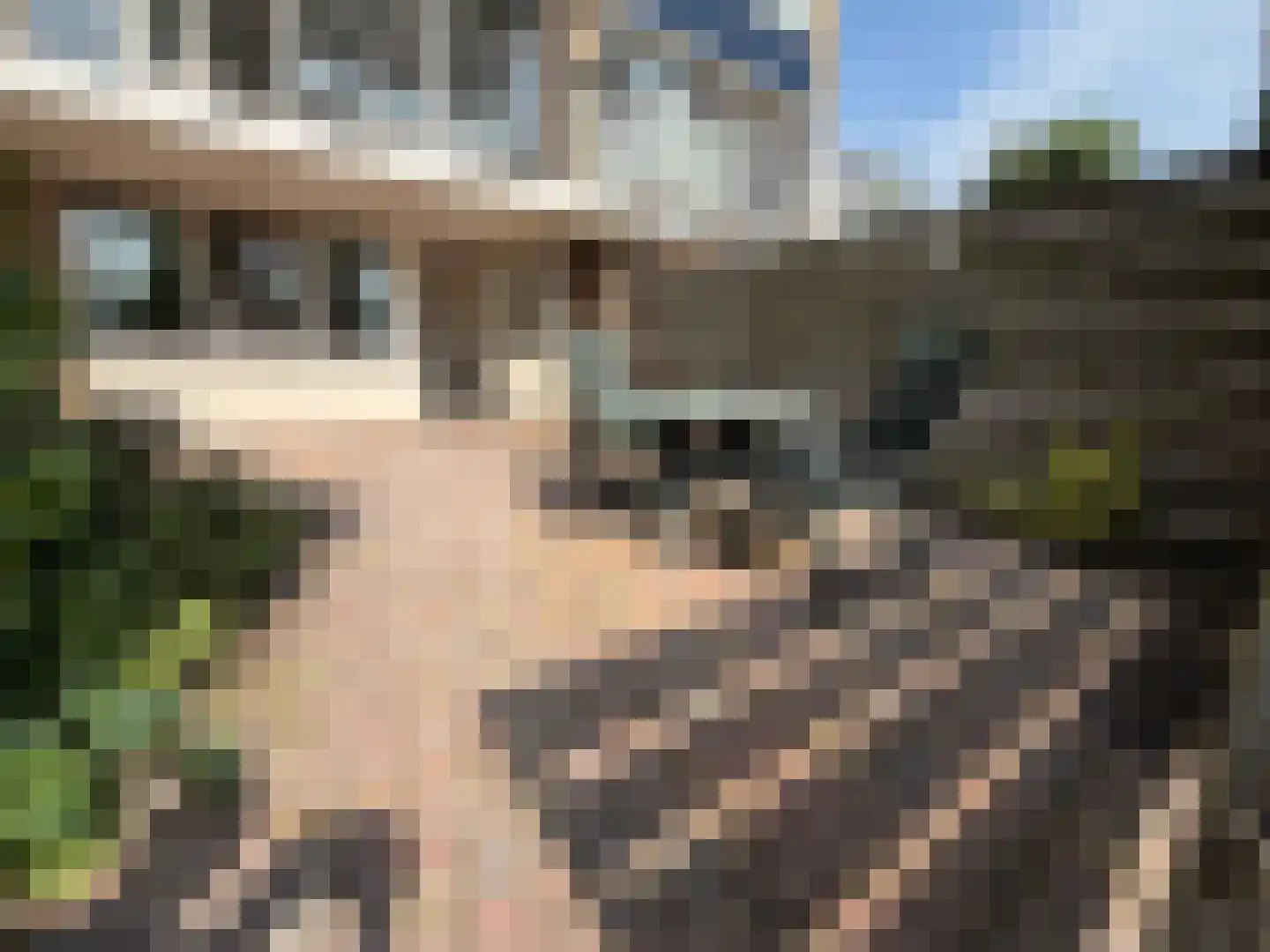 Bordine 10 Sneek thumbnail 4