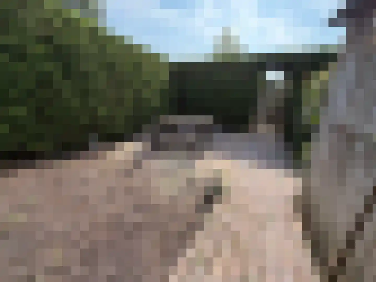 Bordine 10 Sneek thumbnail 5