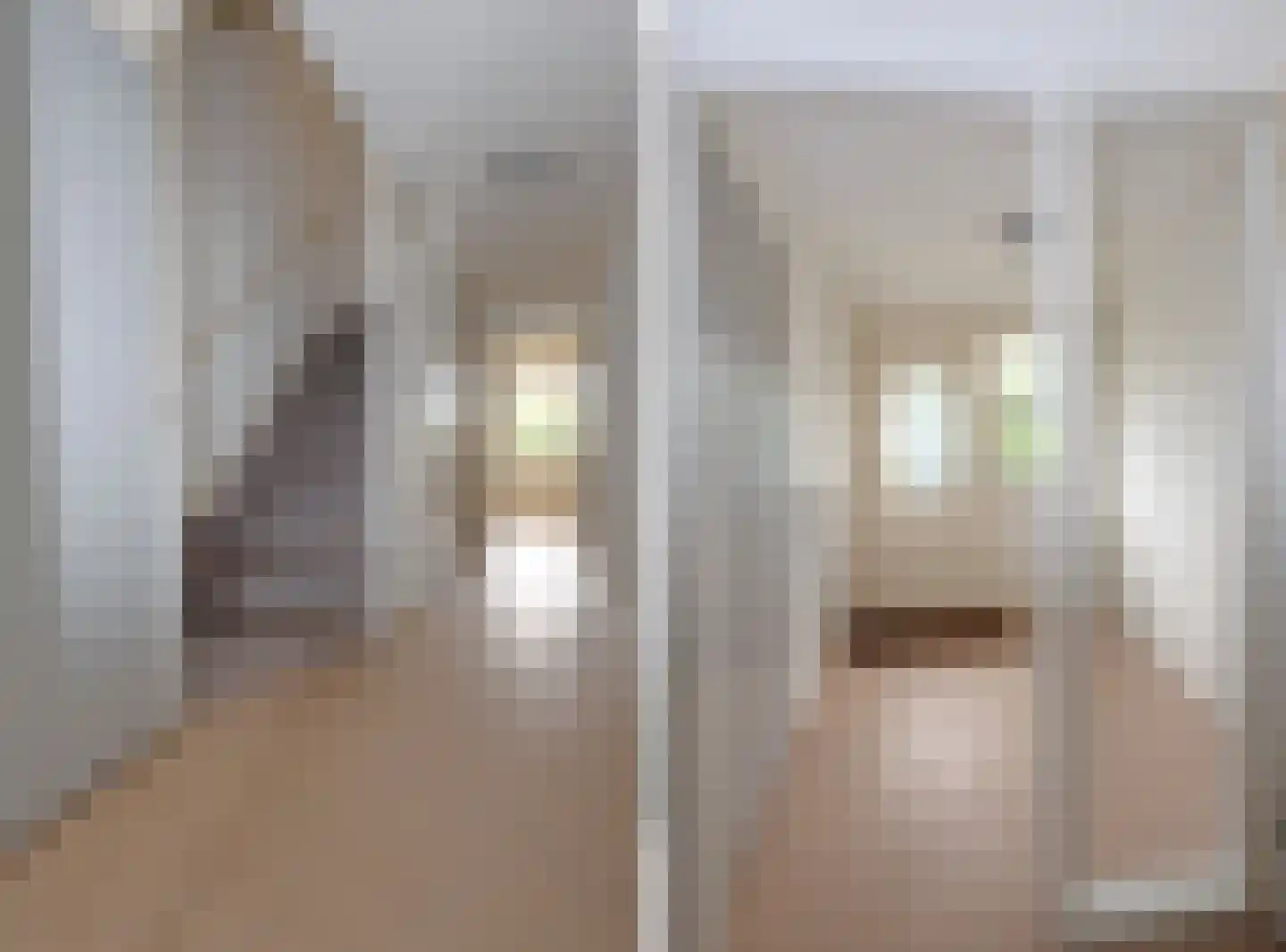 Bordine 10 Sneek thumbnail 8