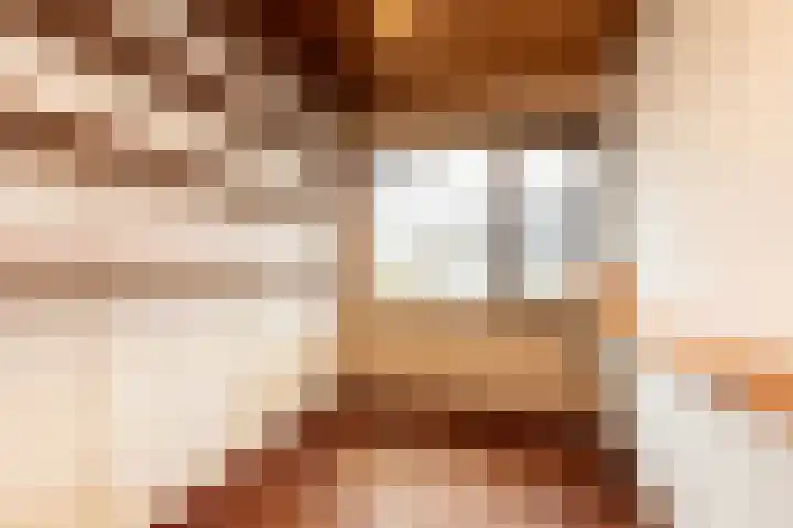 Bordine 13 Sneek thumbnail 20