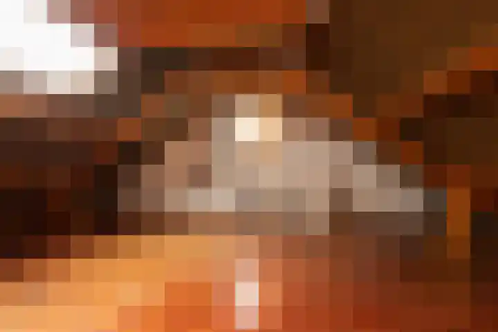 Bordine 13 Sneek thumbnail 27