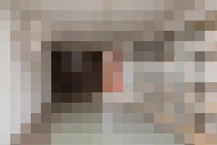 Bordine 13 Sneek thumbnail 30