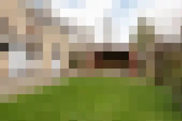 Bordine 13 Sneek thumbnail 33