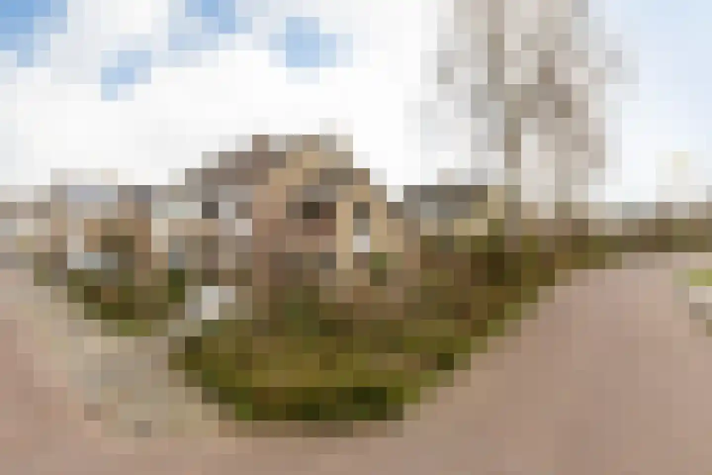 Bordine 13 Sneek thumbnail 36