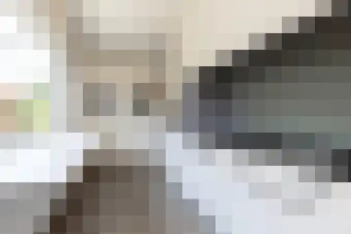 Bordine 84 Sneek thumbnail 10