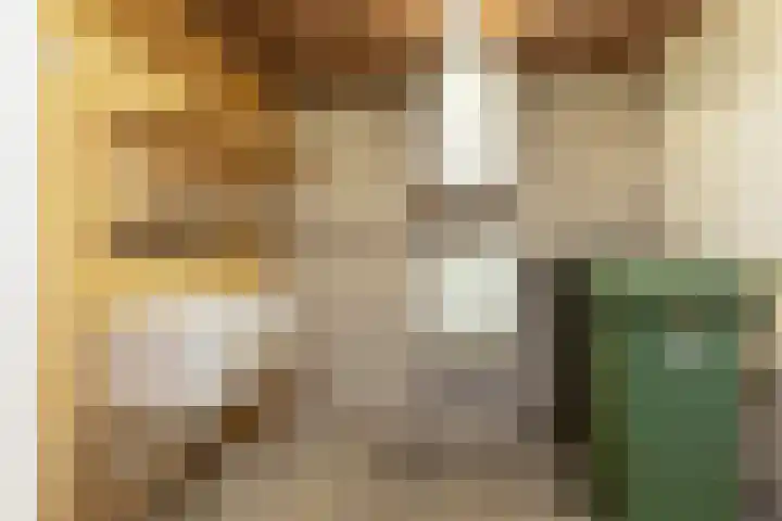 Bordine 84 Sneek thumbnail 14