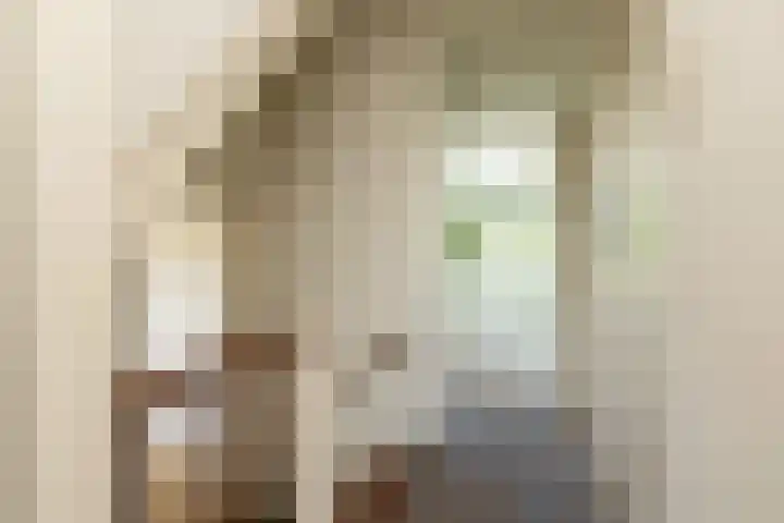 Bordine 84 Sneek thumbnail 22