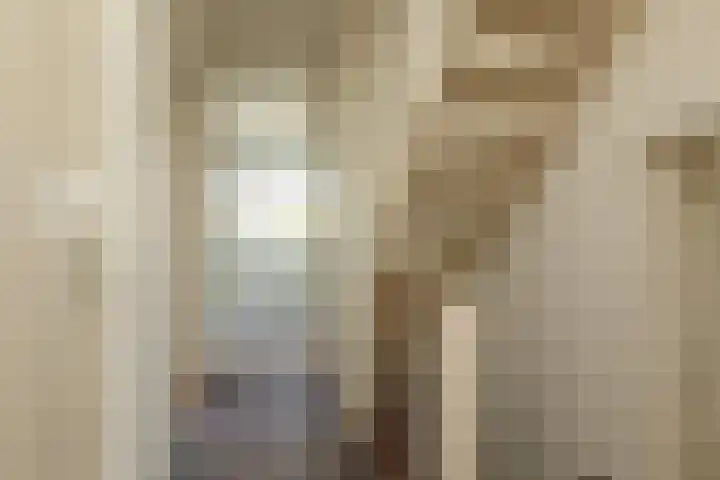 Bordine 84 Sneek thumbnail 29