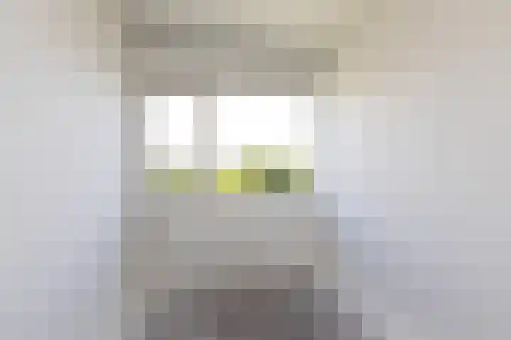 Bordine 84 Sneek thumbnail 30