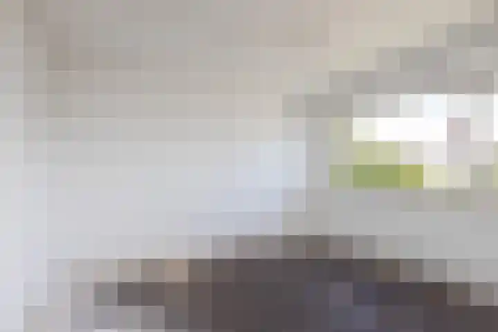 Bordine 84 Sneek thumbnail 31