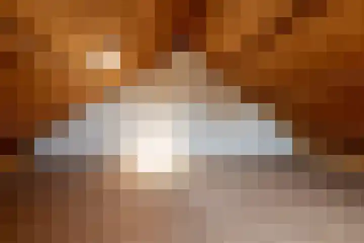 Bordine 84 Sneek thumbnail 34