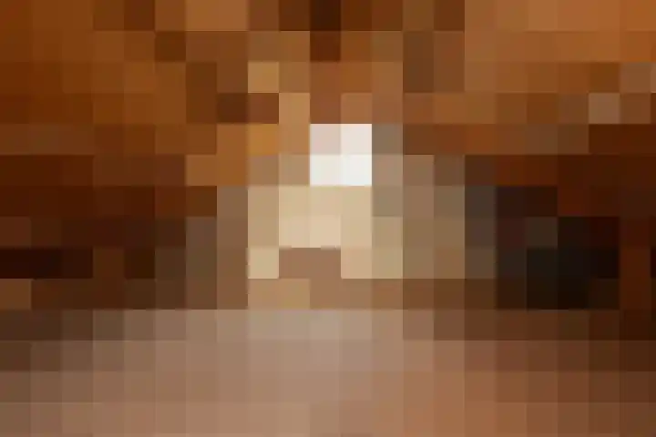 Bordine 84 Sneek thumbnail 35