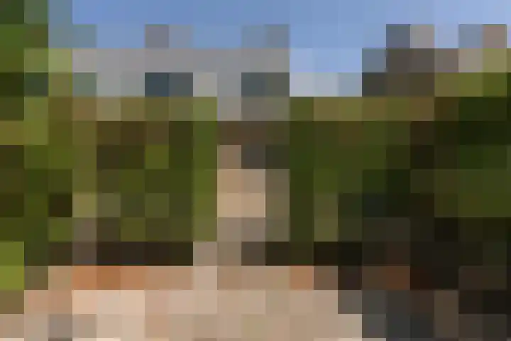 Bordine 84 Sneek thumbnail 36