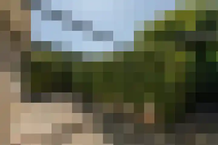 Bordine 84 Sneek thumbnail 37