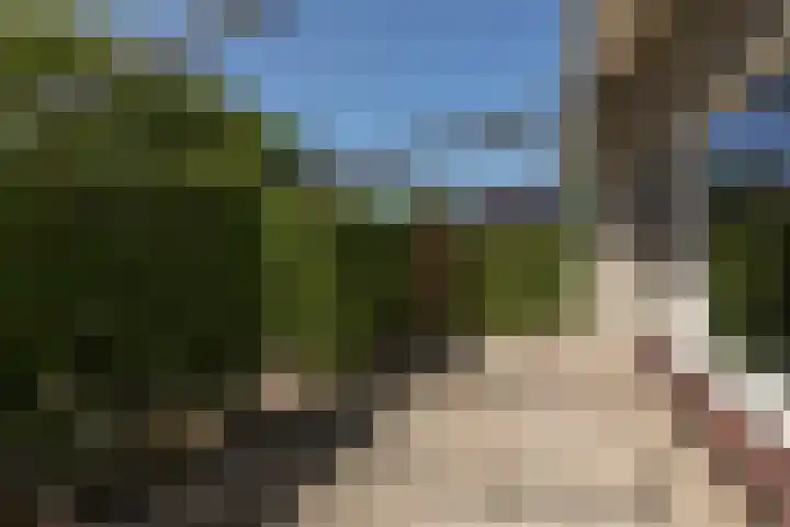 Bordine 84 Sneek thumbnail 38