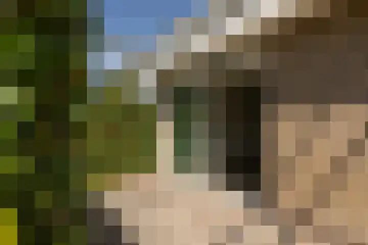 Bordine 84 Sneek thumbnail 39