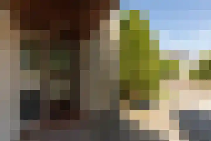 Bordine 84 Sneek thumbnail 40