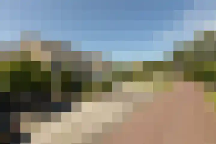 Bordine 84 Sneek thumbnail 44