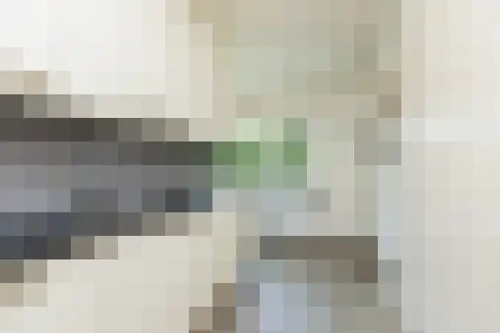 Bordine 84 Sneek thumbnail 7