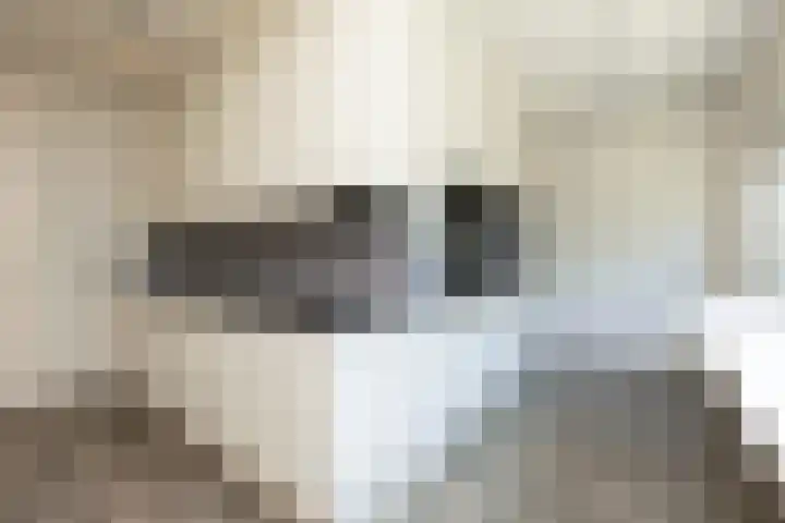 Bordine 84 Sneek thumbnail 8