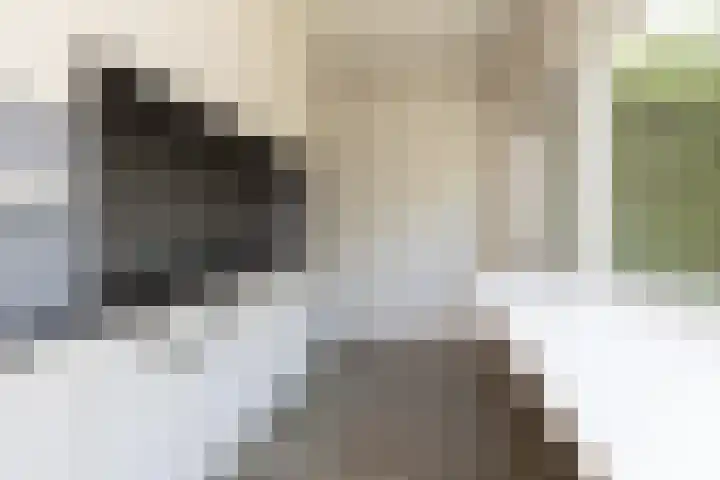 Bordine 84 Sneek thumbnail 9