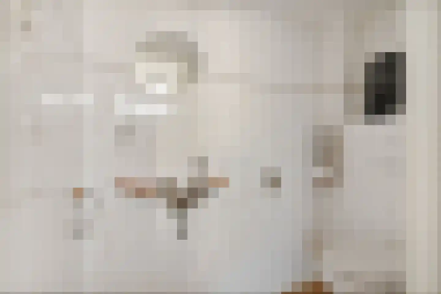 Bordine 9 Sneek thumbnail 15
