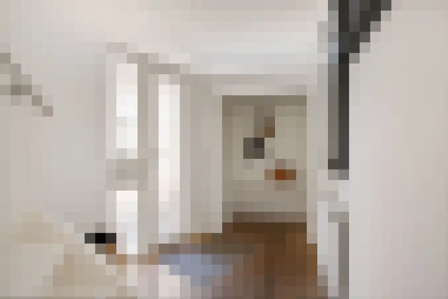 Bordine 9 Sneek thumbnail 16