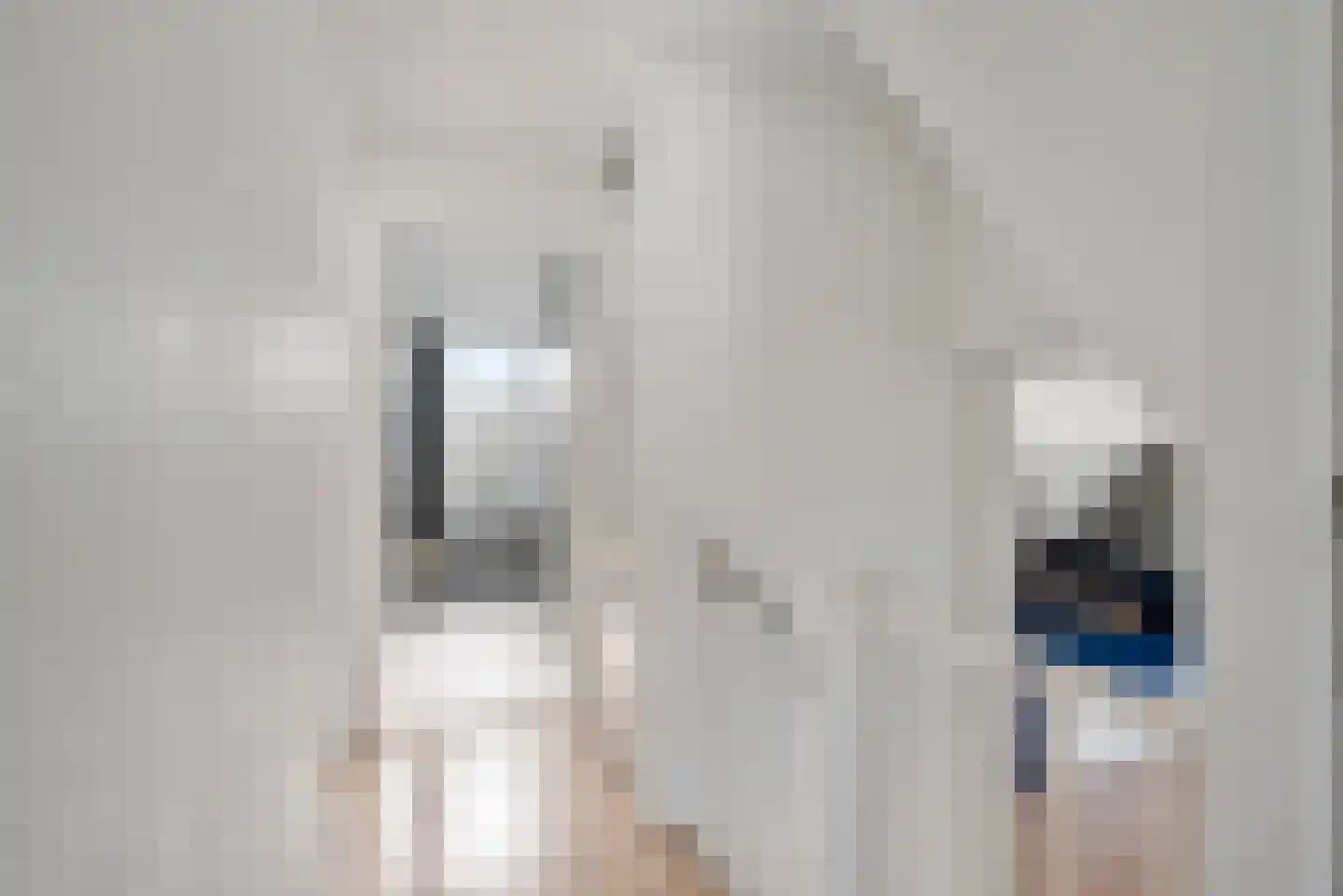 Bordine 9 Sneek thumbnail 24