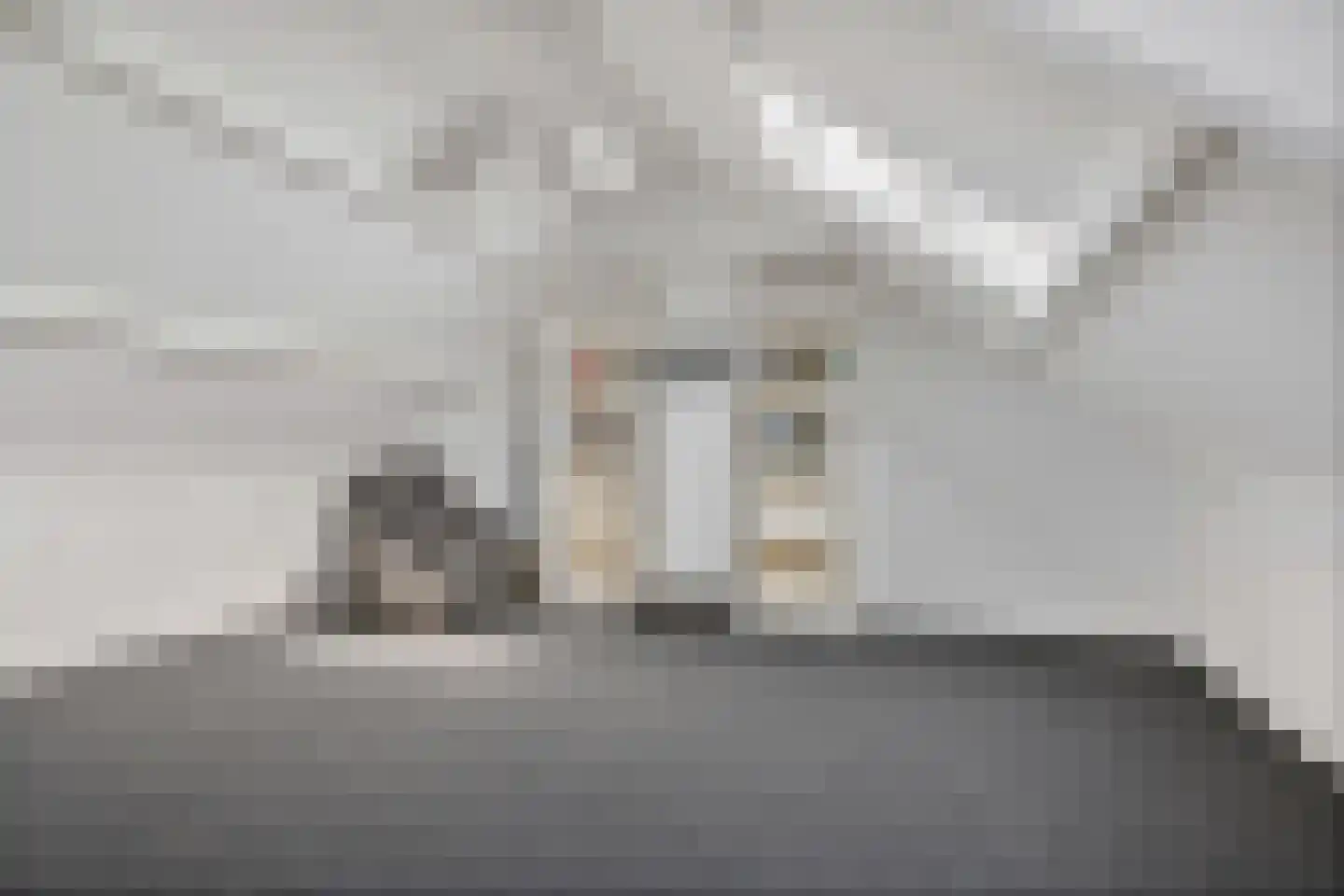 Bordine 9 Sneek thumbnail 34