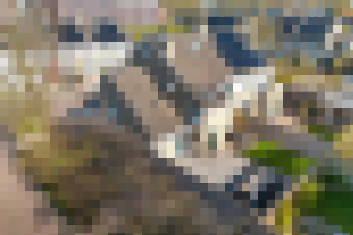 Bordine 9 Sneek thumbnail 48