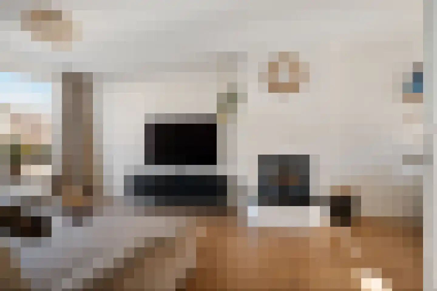 Bordine 9 Sneek thumbnail 6