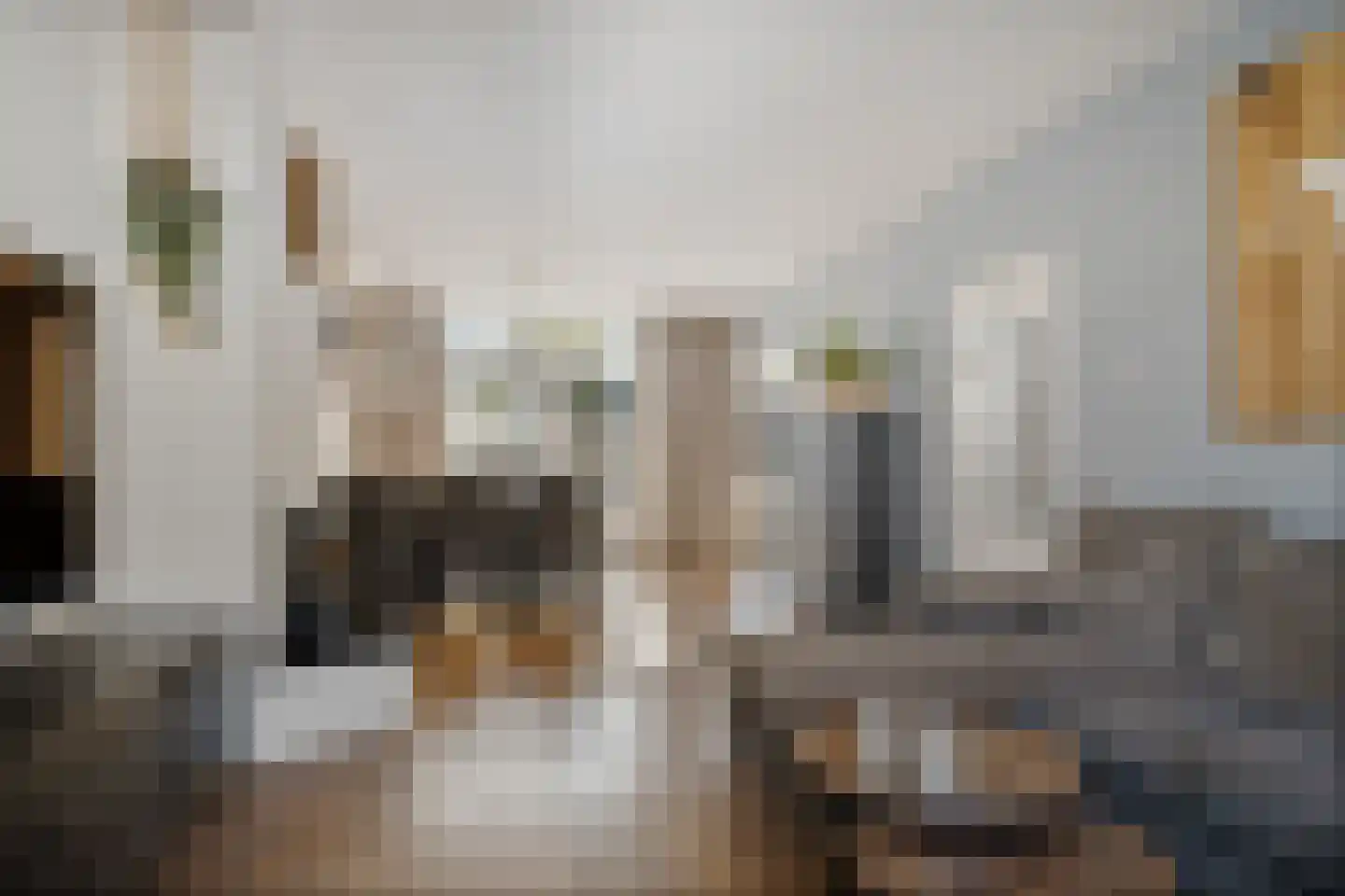 Bordine 9 Sneek thumbnail 7