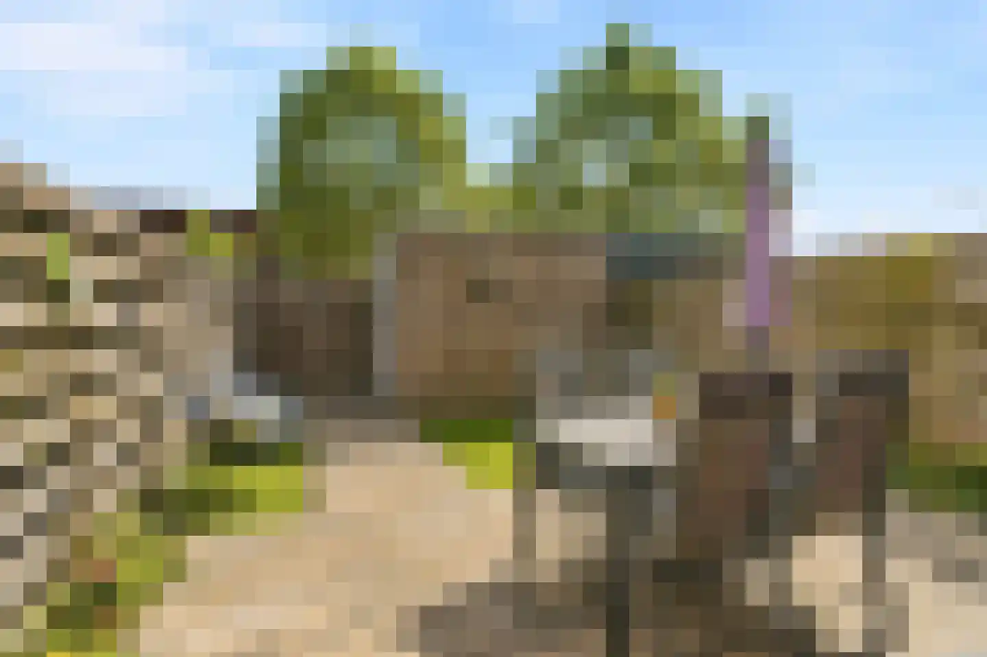 Boreasplantsoen 72 Arnhem thumbnail 26